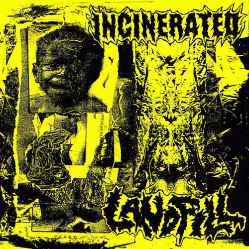 Landfill : Incinerated - Landfill